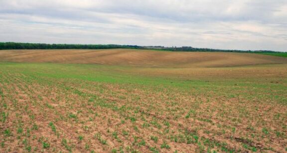 Le prix des terres agricoles et viticoles en 2023
