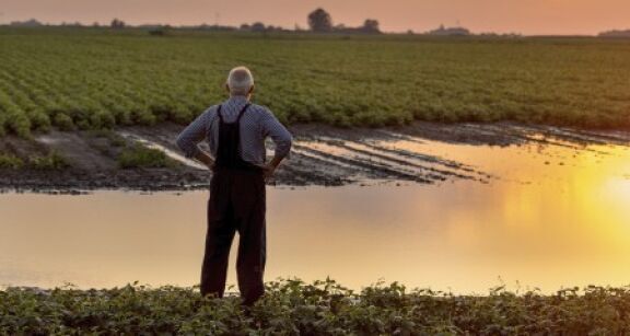 Des d&eacute;gr&egrave;vements de taxe fonci&egrave;re pour les agriculteurs victimes d’une perte de r&eacute;coltes