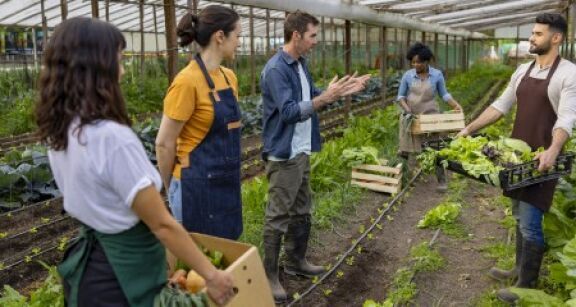 Les associations agricoles employeuses en 2023