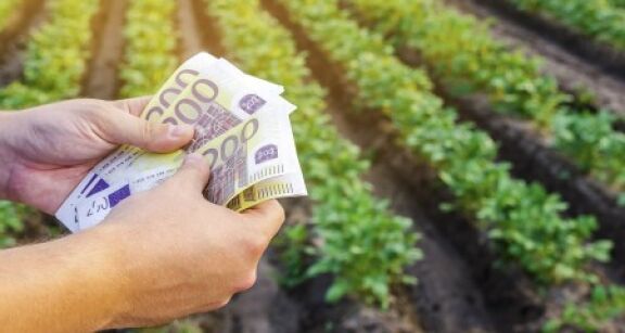 De nouvelles aides &agrave; la tr&eacute;sorerie pour les exploitants agricoles