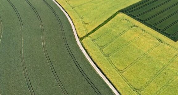 &Eacute;change de parcelles agricoles : les droits du locataire