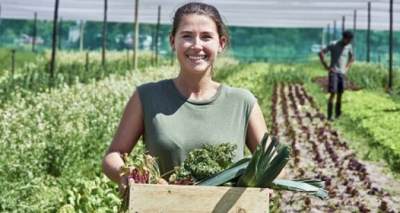 Exploitants agricoles : fixation du montant d&eacute;finitif 2024 de plusieurs aides Pac