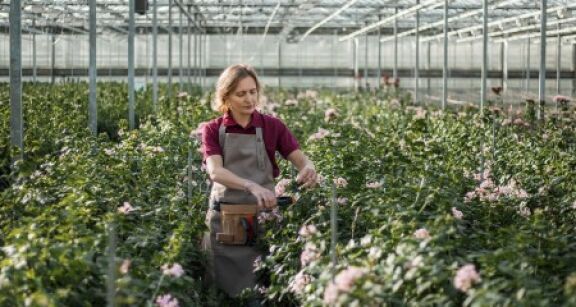 Activit&eacute;s agricoles exon&eacute;r&eacute;es de CFE : &agrave; condition que l’activit&eacute; soit agricole !