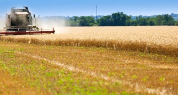 La production agricole a recul&eacute; de 7,5 % en 2024