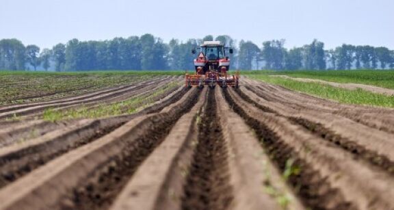 Mise &agrave; disposition d’une soci&eacute;t&eacute; de parcelles agricoles lou&eacute;es : il faut les exploiter !
