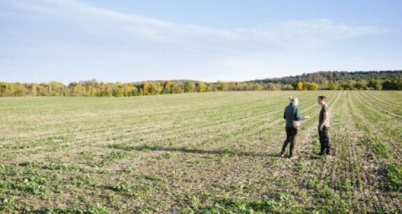 Pr&eacute;emption de la Safer sur une parcelle agricole : le droit du vendeur de se retirer