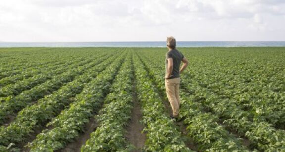 Violation du droit de pr&eacute;emption de l’exploitant agricole : quel d&eacute;lai pour contester ?