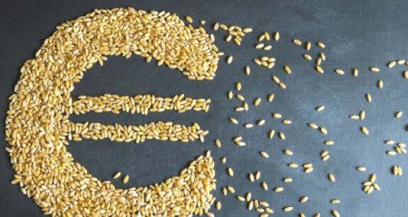 Exploitants agricoles : vous pouvez demander l’aide &agrave; la tr&eacute;sorerie