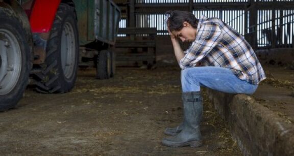 Exploitants agricoles : le dispositif de pr&ecirc;ts structurels garantis par l’&Eacute;tat est en place