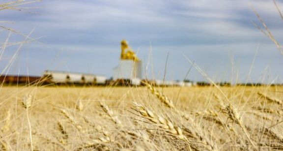 Un partenariat sign&eacute; entre SNCF R&eacute;seau et Interc&eacute;r&eacute;ales pour le transport de c&eacute;r&eacute;ales