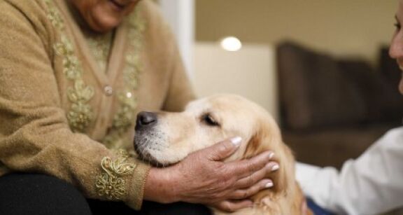 M&eacute;dico-social : accueil d’animaux de compagnie dans les Ehpad