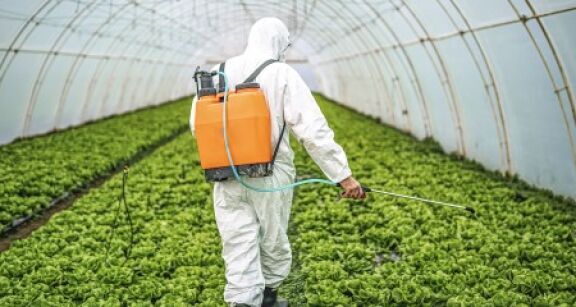 Exploitants agricoles : prolongation d’un an des certiphytos arrivant &agrave; &eacute;ch&eacute;ance